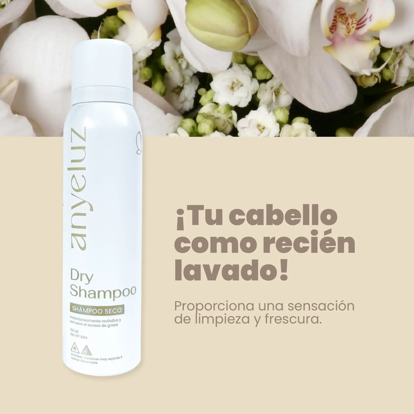 RAPIDO FRESH - Cabello Limpio En Minutos