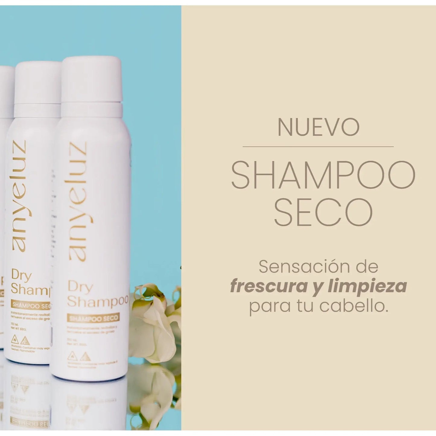 RAPIDO FRESH - Cabello Limpio En Minutos