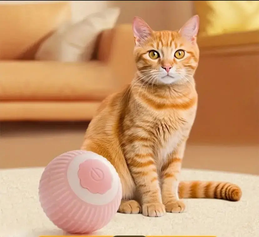 PELOTA CORRE PELUDO - Juguete Inteligente Para Gatos o Perros