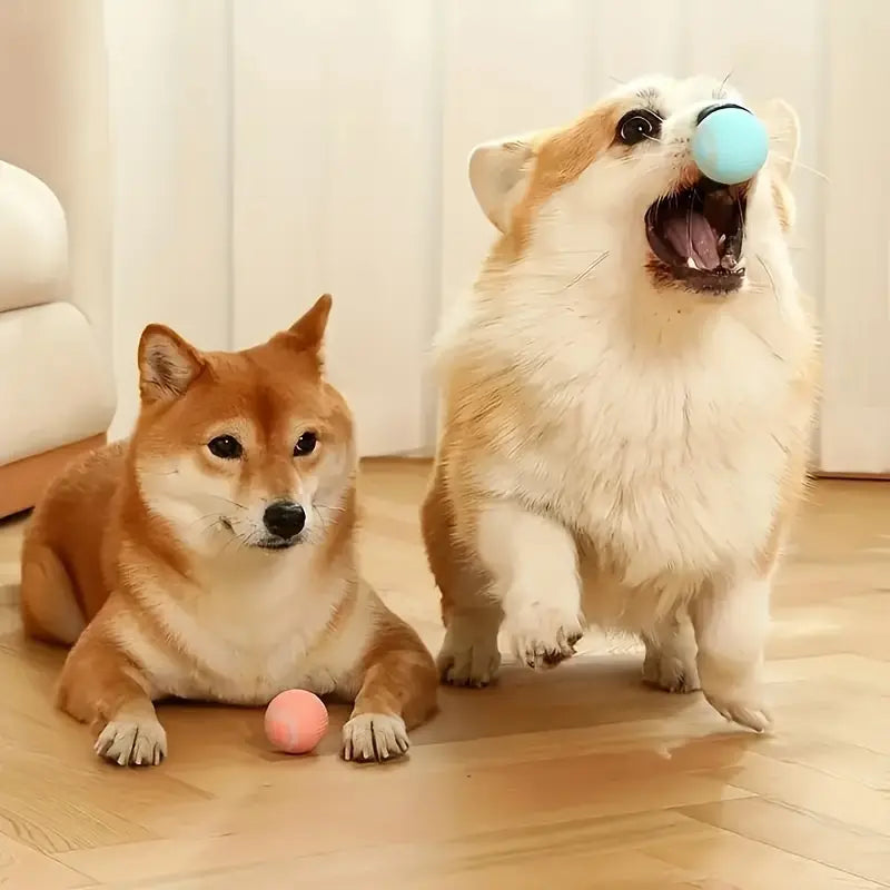 PELOTA CORRE PELUDO - Juguete Inteligente Para Gatos o Perros