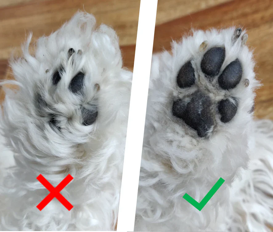 PELU PATITAS - Una Afeitadora Silenciosa Que No Asustará A Tu Peludo
