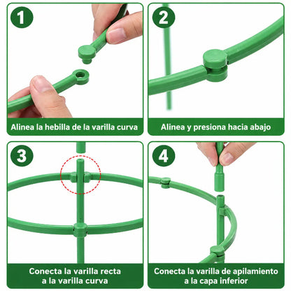Set PlantaEstable X2