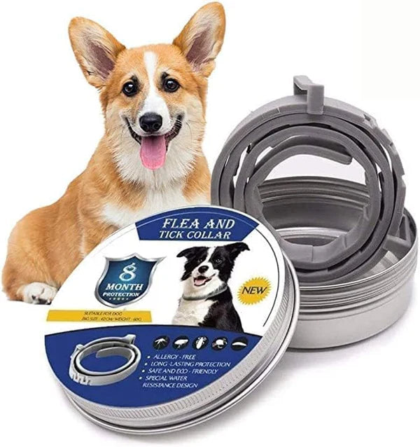 COLLAR ECOPROTECCIÓN - Tus Mascotas Libres De Pulgas Y Garrapatas