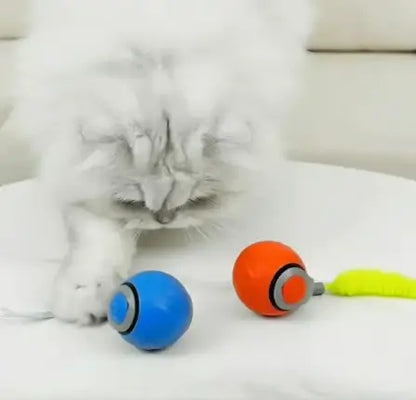 JUGUETE MICHI MAGIA - Mantén A Tu Gato Activo Y Feliz