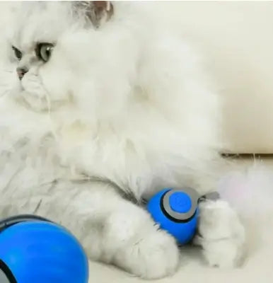 JUGUETE MICHI MAGIA - Mantén A Tu Gato Activo Y Feliz