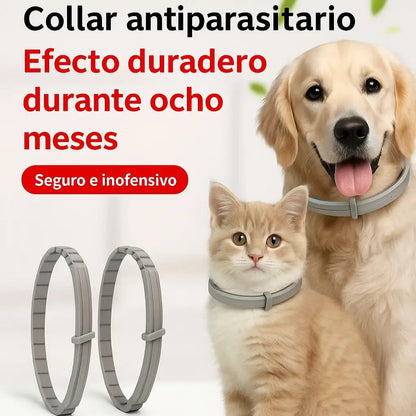 COLLAR ECOPROTECCIÓN - Tus Mascotas Libres De Pulgas Y Garrapatas