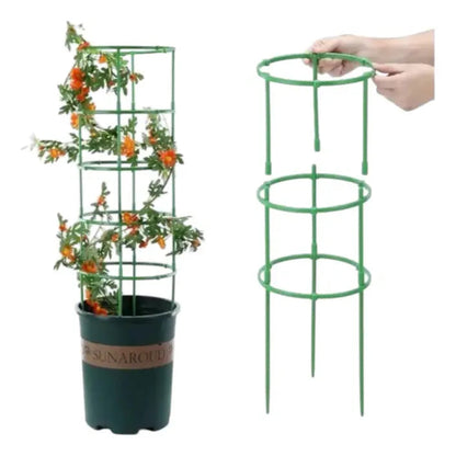 Set PlantaEstable X2