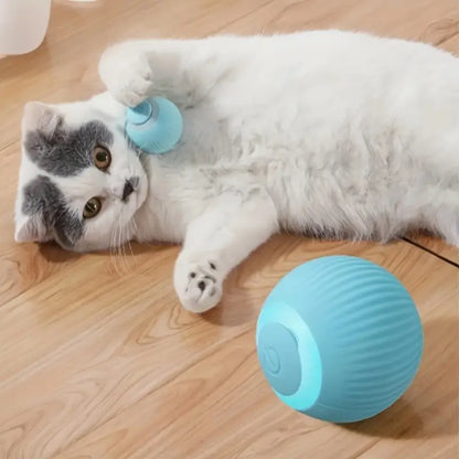 PELOTA CORRE PELUDO - Juguete Inteligente Para Gatos o Perros