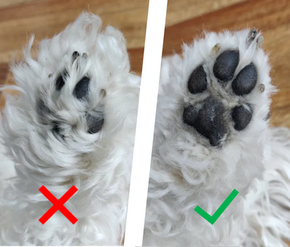 PELU PATITAS - Una Afeitadora Silenciosa Que No Asustará A Tu Peludo